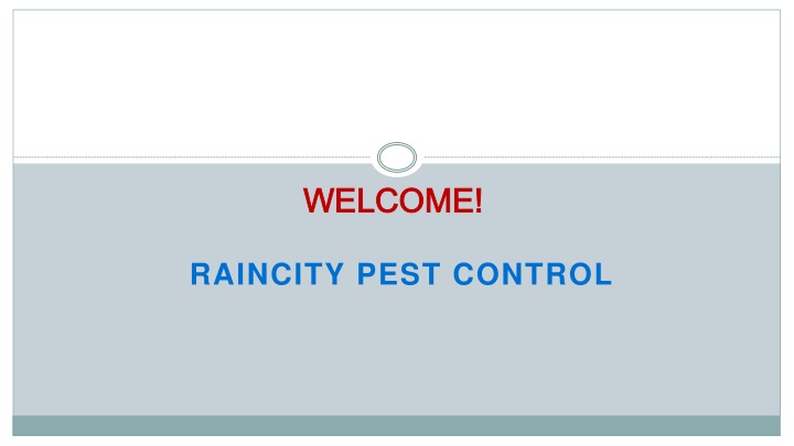 Looking for the best Residential pest control in Downtown Vancouver