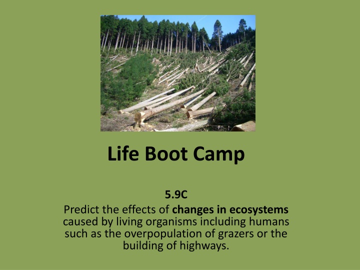 Ecosystem Changes Caused by Living Organisms