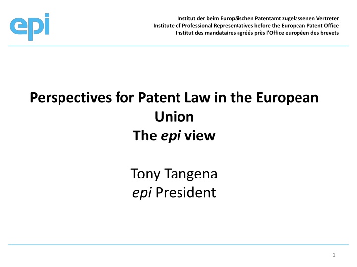 Future Perspectives for EU Patent System: Granting and Litigation Systems