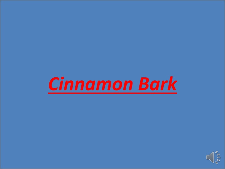 Exploring the Wonders of Cinnamon Bark and Its Uses