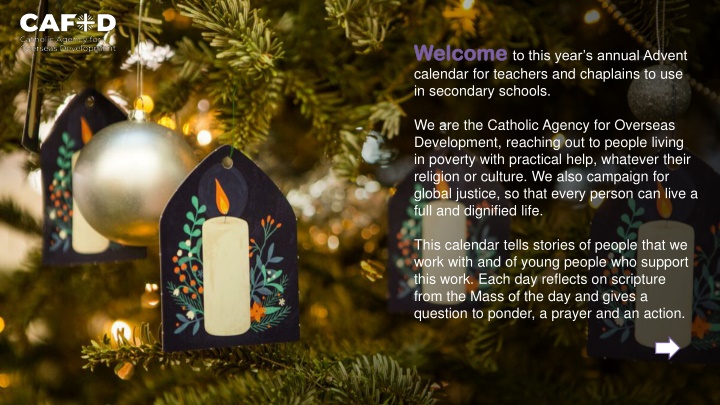 Seasonal Reflections: Advent Calendar Stories of Hope and Transformation