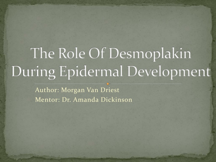 The Role of Desmoplakin in Epidermal Development