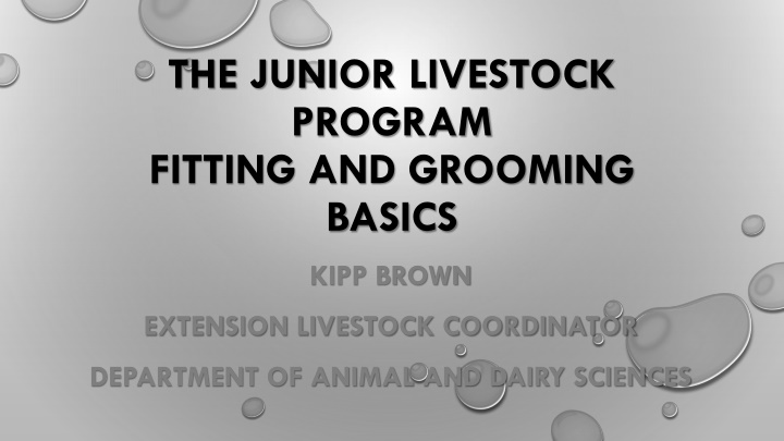Livestock Clipping and Grooming Basics for Show Exhibitors