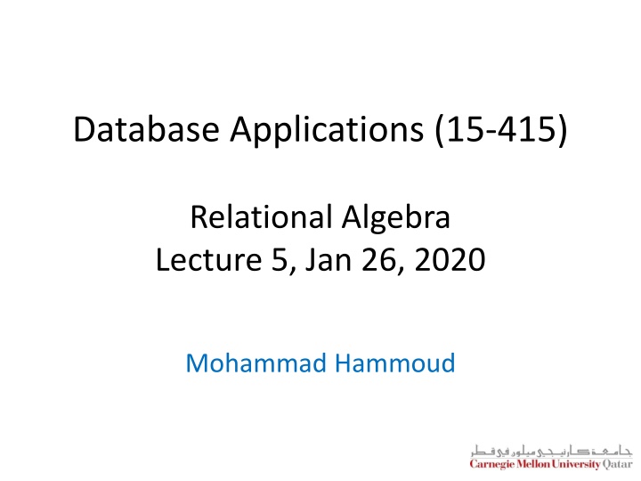 Relational Query Languages in Database Applications
