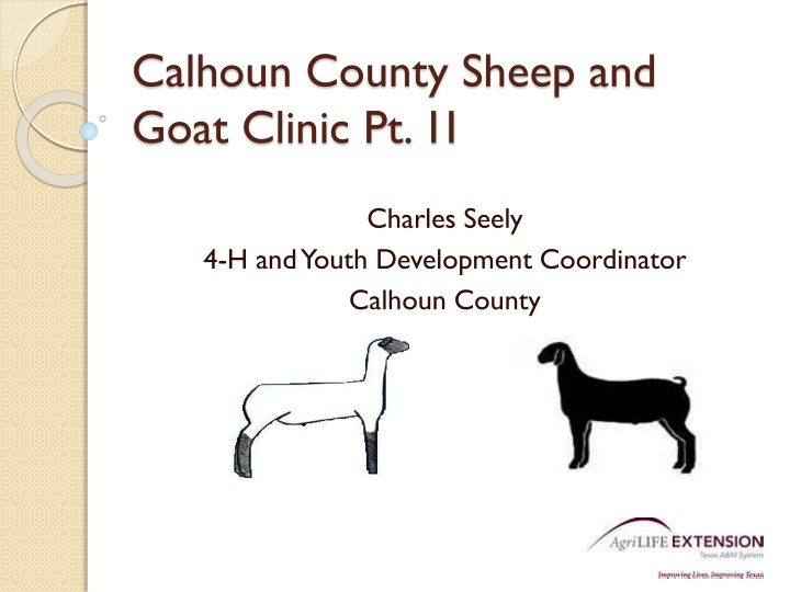 Sheep and Goat Clinic: Feeding, Exercising, and Show Preparation Tips