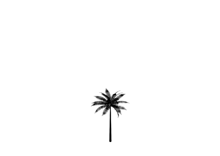 The Palm - A Superlative Brand of Hospitality