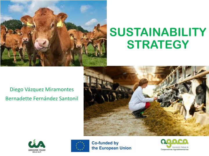 Sustainable Agricultural Practices and Strategies for Conservation