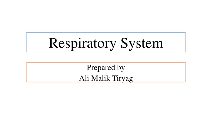 The Respiratory System: An Overview