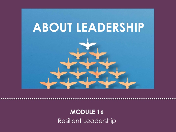 Insights on Resilient Leadership: Qualities and Inspiration