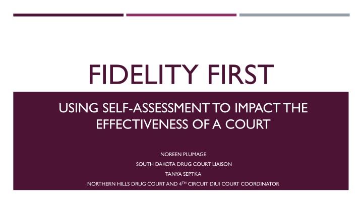 Impact of Self-Assessment on Court Effectiveness in Drug Court Programs