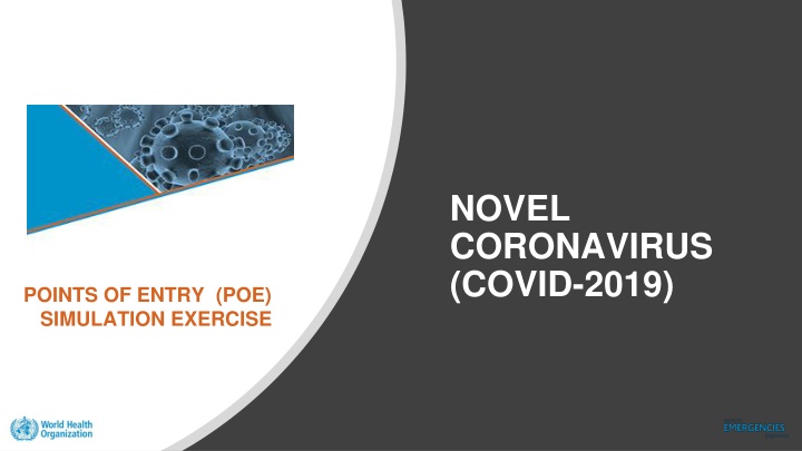COVID-19 Points of Entry (POE) Simulation Exercise Overview