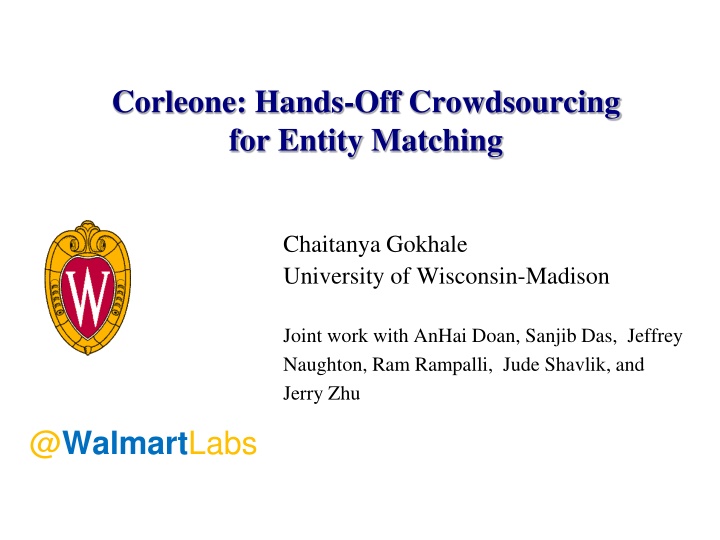 Recent Advances in Crowdsourced Entity Matching Problems