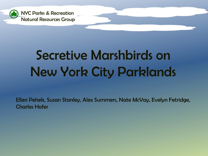 NYC Parks & Recreation Natural Resources Group Marshbirds Surveys