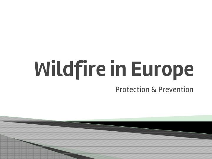 Wildfires in Europe: Protection and Prevention