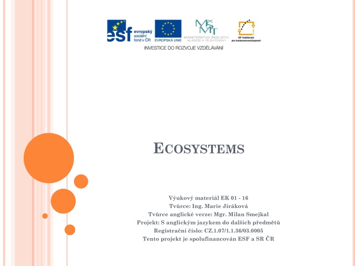 Ecosystems: Definition, Structure, and Function