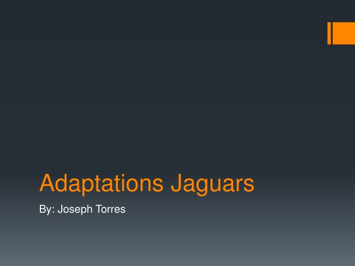 Fascinating Facts about Jaguars