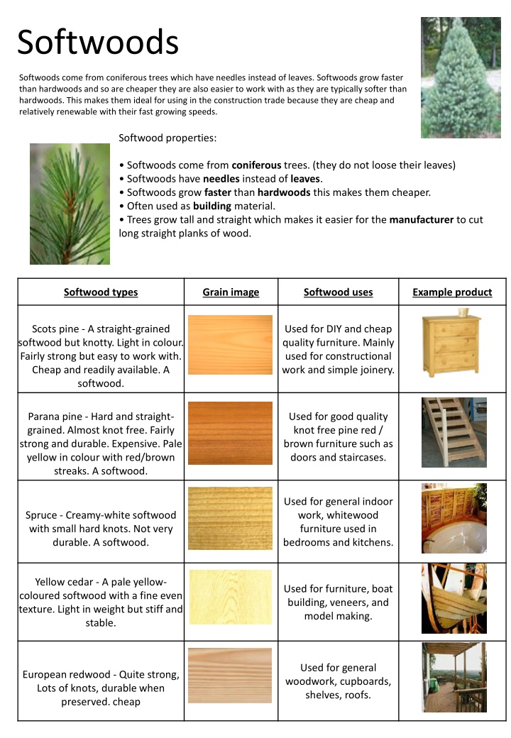 Softwoods: Properties, Types, and Uses
