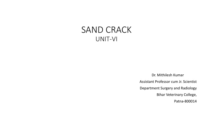 Sand Crack in Cattle Hooves: Causes, Signs, and Treatment