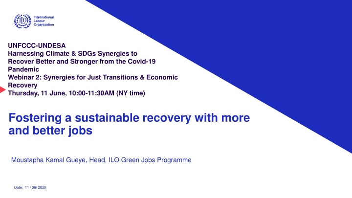 Harnessing Climate & SDGs Synergies for Sustainable Recovery