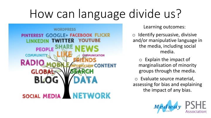 Language Division in Media Representations