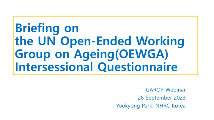 Engaging with International Human Rights Mechanisms for Older Persons