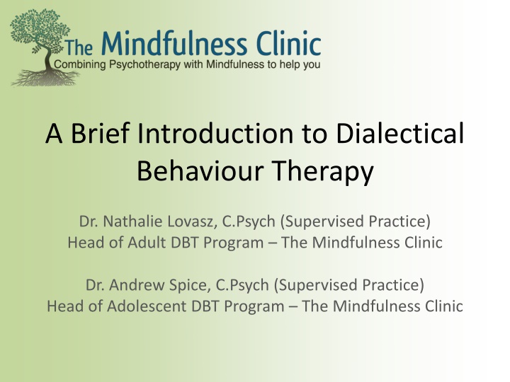 Dialectical Behaviour Therapy (DBT)