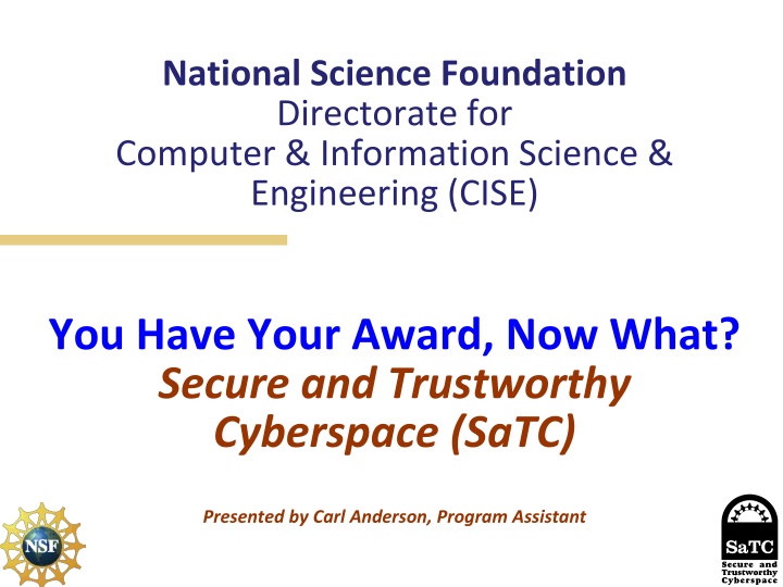 Post Award Reporting Guidelines for NSF Directorate CISE Awardees