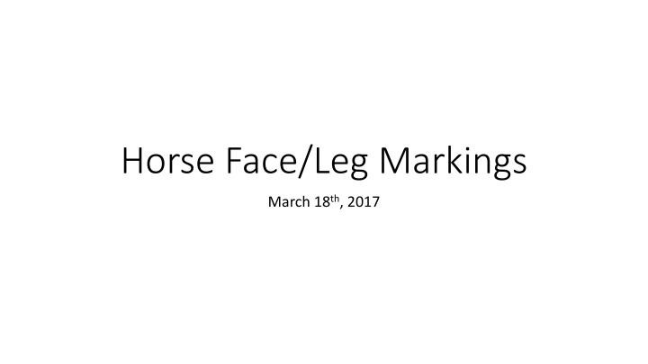 Horse Face and Leg Markings