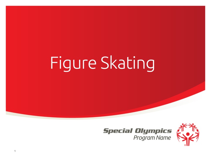 Figure Skating Program Details and Guidelines