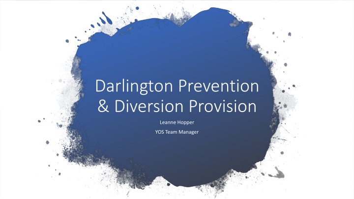 Darlington Youth Offending Team Official Document Summary