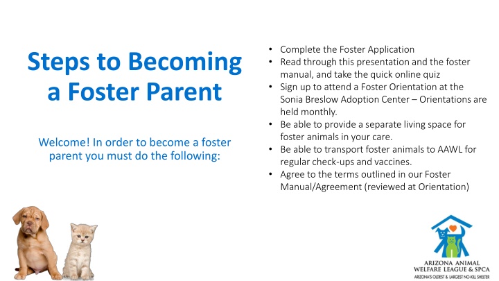 Become a Foster Parent for AAWL: Steps and Requirements