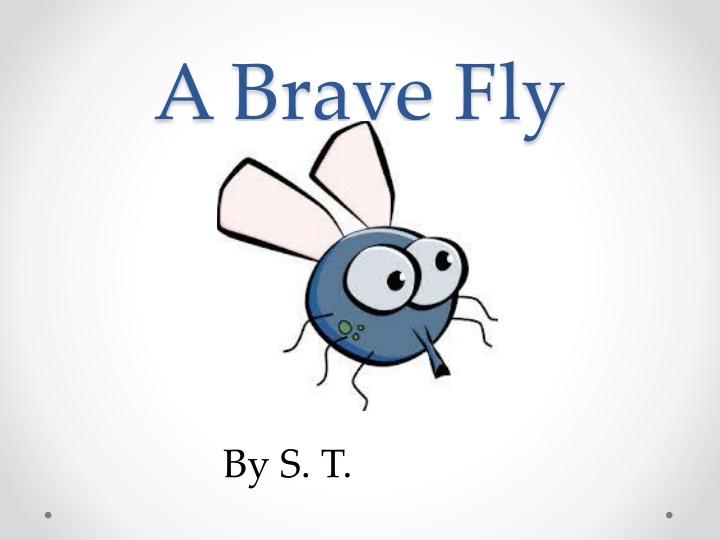 The Brave Journey of Ted the Fly