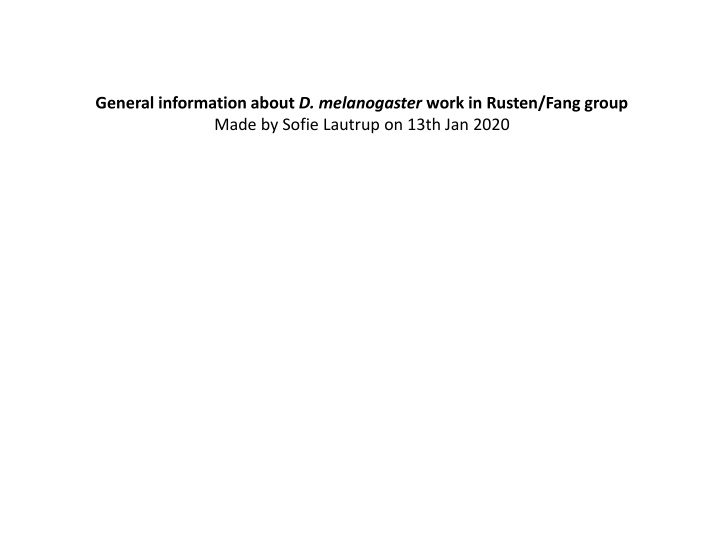 Guidelines for Working with D. melanogaster in Rusten/Fang Group Lab