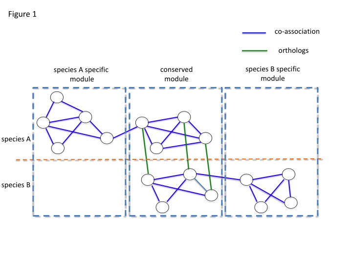 Comparative Genomics Analysis of Co-Association Networks in Species A and B