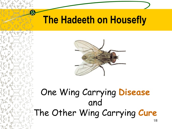 Scientific Study on Houseflies and Disease Prevention