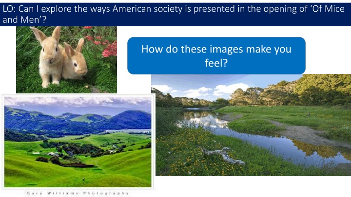 American Society in Steinbeck's 