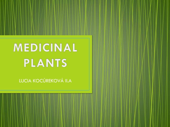 Medicinal Plants in Presov Region: Tussilago and Urtica Dioica