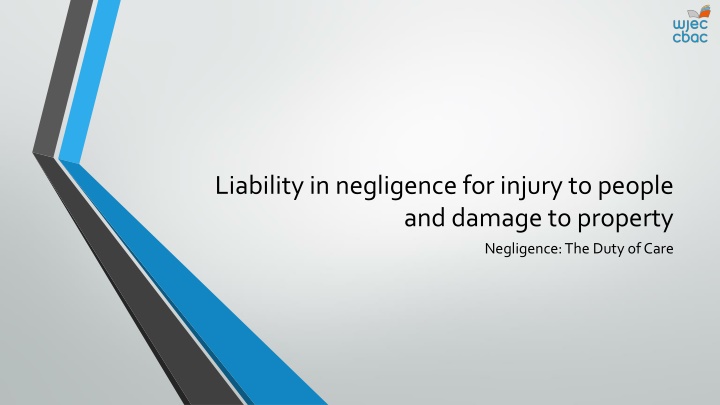 Liability in Negligence: Duty of Care in Legal Cases