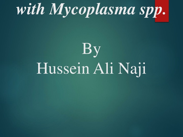 Overview of Mycoplasma Species and Contagious Bovine Pleuropneumonia