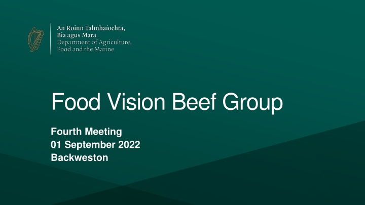 Reducing Emissions in the Beef Sector: Draft Report from Food Vision Beef Group Meeting