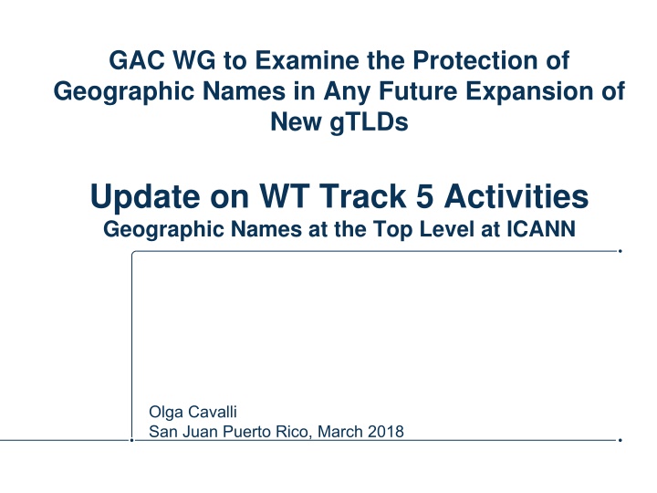 GAC Working Group on Geographic Names Protection in New gTLD Expansion
