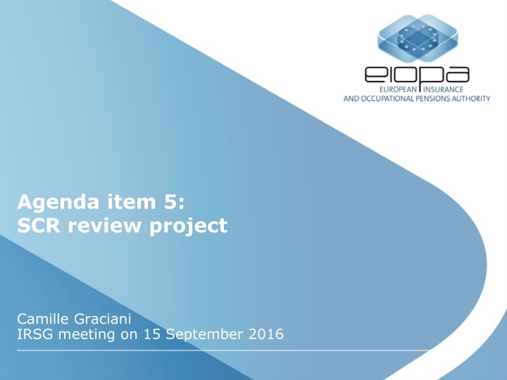 Review Project on Solvency Capital Requirement Standard Formula