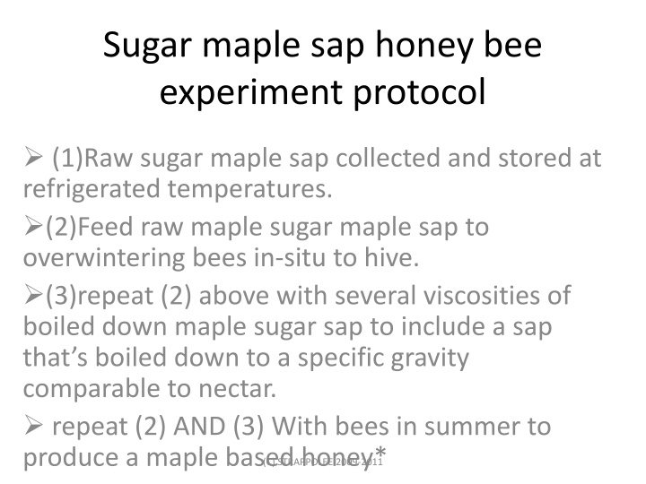Maple Sap Bee Experiment Protocol