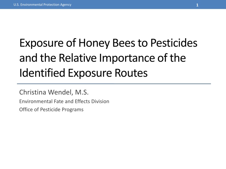 Honey Bee Exposure to Pesticides: Routes and Impacts