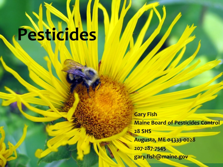 Pesticide Use and Impact on Pollinators
