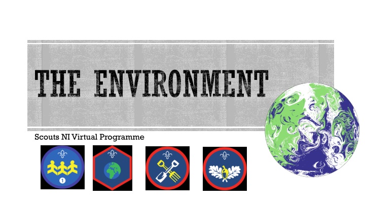 The Environment Scouts NI Virtual Programme and COP26: Taking Action for a Sustainable Future