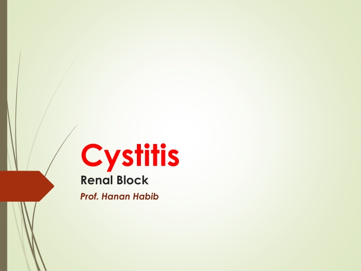 Cystitis: Causes, Symptoms, and Treatment Options