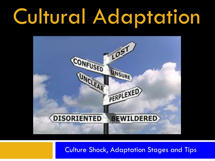 Cultural Adaptation: Understanding Culture Shock and the Adaptation Process