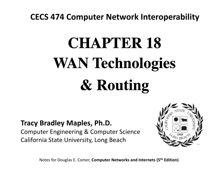 WAN Technologies and Routing in Large Networks