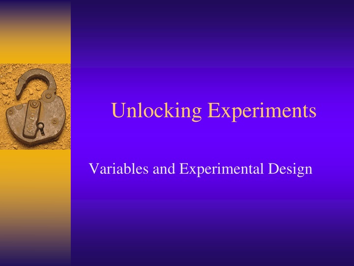 Experimental Variables and Design